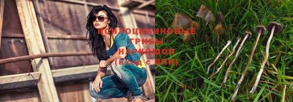 первитин Бородино