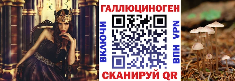 закладки Сосногорск Псилоцибиновые грибы прущие грибы